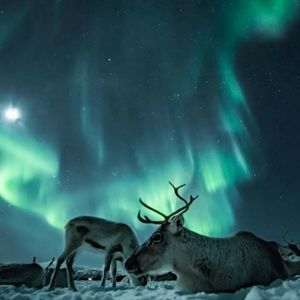 Meet your Posher, Maggie